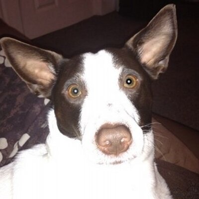 Profile Picture of Mark Bennison (@MarkBennison1) on Twitter