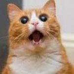 Profile Picture of JOSUE MONREAL (@josuemonreal16) on Instagram