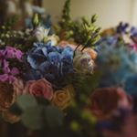 Profile Picture of Mandy Lowe (@naturallybeautifulflowers) on Instagram