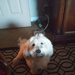 Profile Picture of Joann Fricks (@fricksjoann) on Instagram