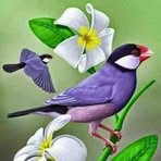 Profile Picture of Josephine Chepkoi (@Josephine-Chepkoi) on Facebook