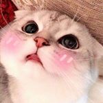 Profile Picture of 惠贞 (@h.trinhhh22) on Instagram