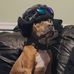 Profile Picture of David Rossignol (@david.rossignol.374) on Facebook