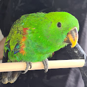 Profile Picture of Mandy Perkins (@mysticmand1) on Youtube