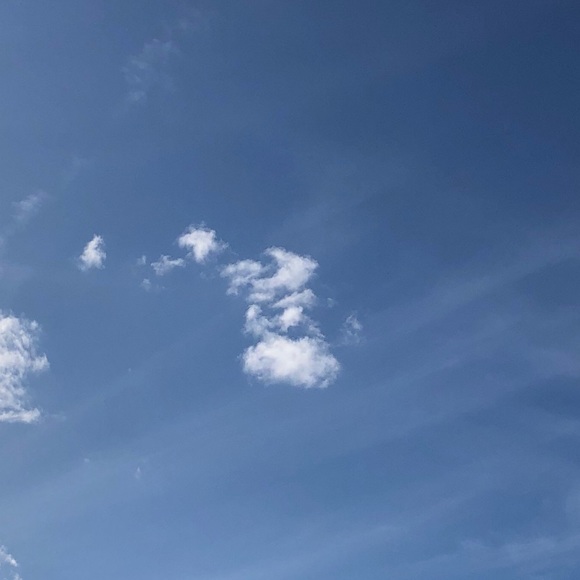 Profile Picture of Mari Kim (@mk_o_319) on Poshmark