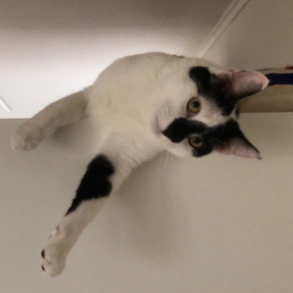 Profile Picture of Karen Therrell (@karent568) on Poshmark