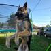 Profile Picture of Asanda Dillingham (@asanda) on Pinterest