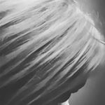 Profile Picture of Kim Currinckx (@kimcurrinckx) on Instagram