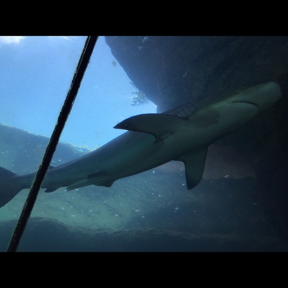 Profile Picture of Stephanie Restrepo (@tephita25) on Poshmark