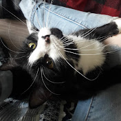 Profile Picture of Cedar Hosch (@sharonhosch) on Youtube