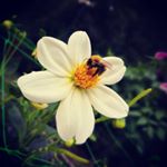 Profile Picture of Joanna Heller (@joanna_hlr) on Instagram