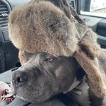 Profile Picture of Matthew & Lydia(garn) Chamberlain (@chamberlains_4ever) on Instagram