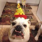 Profile Picture of Audra Paoleschi Hollifield (@audra925) on Instagram