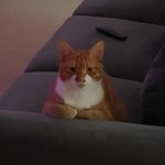 Profile Picture of Zachary Alessi (@zeealessi) on Instagram