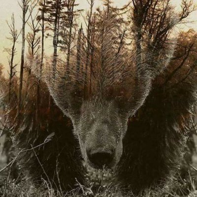 Profile Picture of Mike Grella (@Mikegrella4) on Twitter