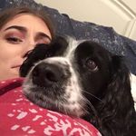 Profile Picture of Casey Thornton (@caseylovesbmx) on Instagram