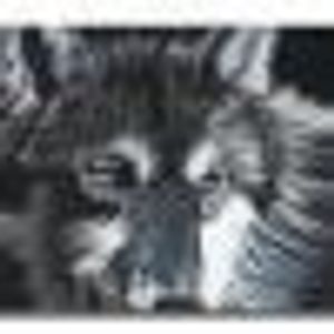 Robert Kulesza - Myspace Profile Picture of Robert Kulesza (@351932310) on Myspace