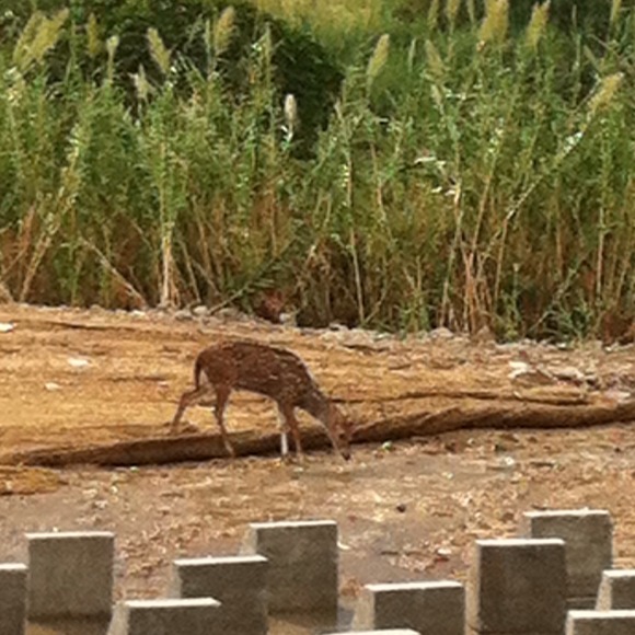 Profile Picture of Jaime Arredondo (@jga0351dog) on Poshmark