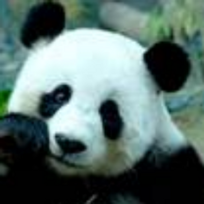 Profile Picture of Jim Mellon (@JimMelonKorea) on Twitter