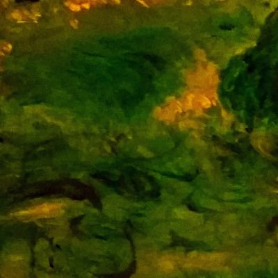 Profile Picture of Mike Gambill (@GambillMike) on Twitter