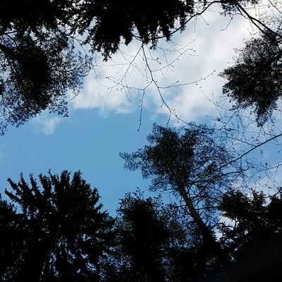 Profile Picture of Daniel Gerlach (@drsgerlach) on Twitter