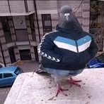 Jacob Lapidez - Facebook Profile Picture of Jacob Lapidez (@jacob.lapidez.2025) on Facebook