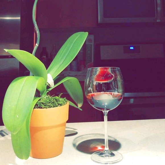 Profile Picture of Hugo Marquez (@hugom97) on Poshmark