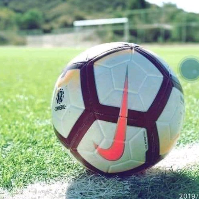 Steve Shuga - Tiktok Profile Picture of Steve Shuga (@steve.shuga) on Tiktok