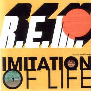 Profile Picture of Imitation of Life (song)on Wikipedia