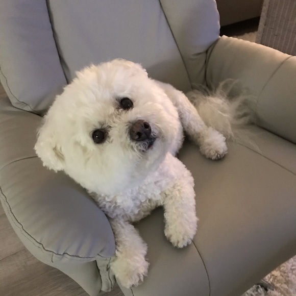 Profile Picture of Constance Olson (@olson0830) on Poshmark