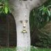 Profile Picture of Julia Hayden (@jumido) on Pinterest