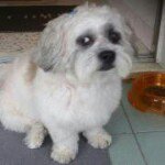 Profile Picture of Beulah Joseph (@beulah05) on Instagram