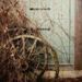 Profile Picture of Heather Bugenhagen (@hbugenhagen) on Pinterest