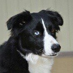 Profile Picture of MDPHOTOGRAPHY (@mikedorionphotography) on Instagram