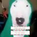 Profile Picture of Joshua Beasley (@joshua.beasley.7777) on Facebook