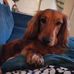 Profile Picture of Grant Mc (@grant.mc.3597) on Facebook