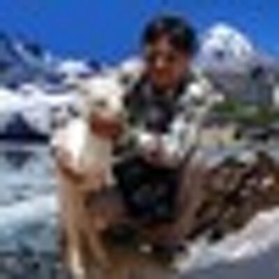 Profile Picture of Juan Carlos Viscarra (@juancaviscarra) on Twitter