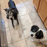 Profile Picture of James Egelston (@jamesegelston) on Instagram