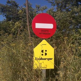 Profile Picture of Julio Gómez (@juliosinsal) on Pinterest