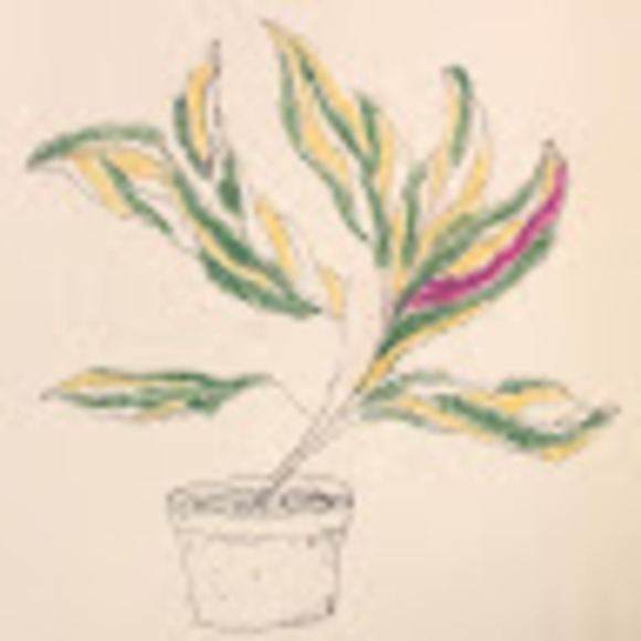 Jack Kilborn - Poshmark Profile Picture of Jack Kilborn (@jackkilborn) on Poshmark