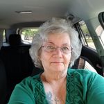 Profile Picture of Nancy Lee Manes (@setzelina) on Instagram