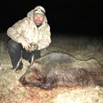 Profile Picture of Kevin Stoneking (@kevinstoneking) on Instagram