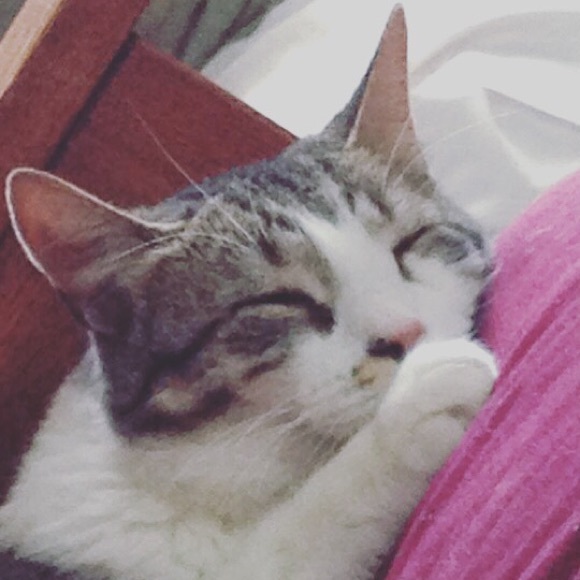 Molly Danca - Poshmark Profile Picture of Molly Danca (@mdanca) on Poshmark