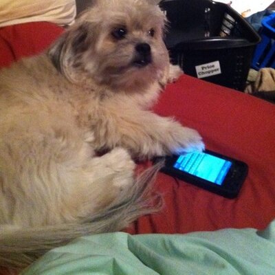 Profile Picture of Sera Clark (@SeraClark) on Twitter