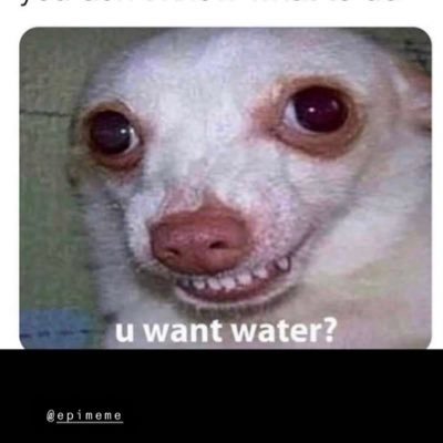 Profile Picture of Nick Rudder (@RudderNick) on Twitter