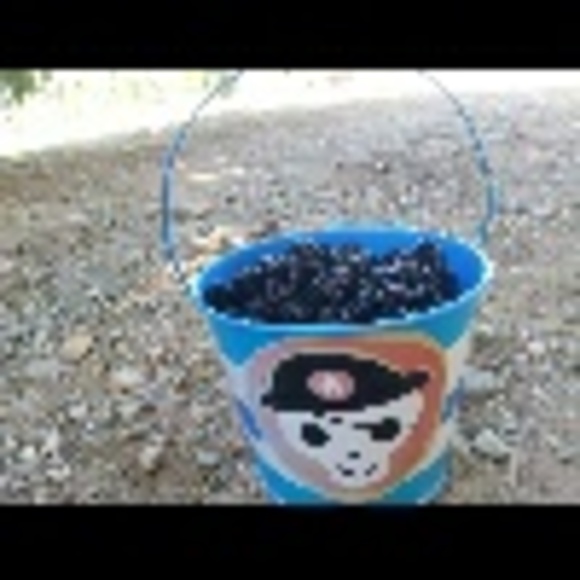 Profile Picture of Lori Eddlemon (@dmjoy) on Poshmark