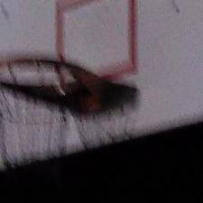 Profile Picture of Jay Adrian (@jay_galloway_) on Twitter