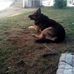Profile Picture of Adam Deschenes (@adam.deschenes.14) on Facebook
