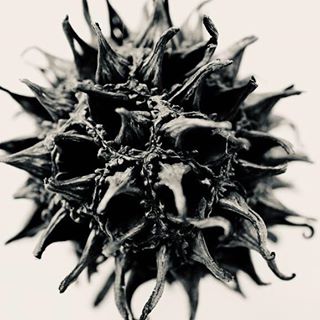 Profile Picture of Craig Herndon (@craig.herndon.photog) on Facebook