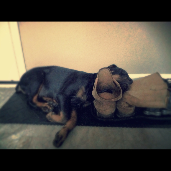 Profile Picture of Misty Toler (@msttoler) on Poshmark